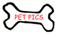 Pet Pics